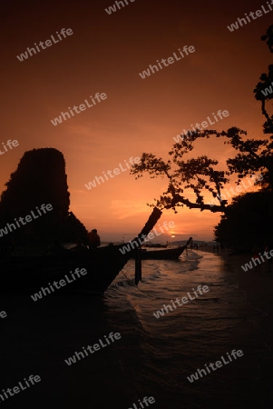 The Hat Phra Nang Beach at Railay near Ao Nang outside of the City of Krabi on the Andaman Sea in the south of Thailand. 