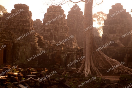 The Temple of  Banteay Kdei in the Temple City of Angkor near the City of Siem Riep in the west of Cambodia.