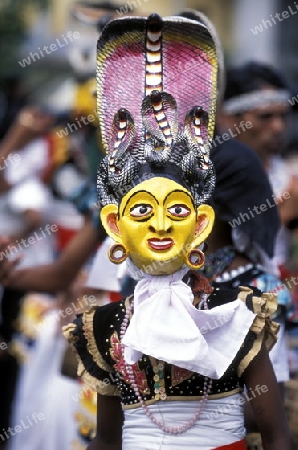 Asien, Indischer Ozean, Sri Lanka,Ein traditionelles Neujahrs Fest mit Umzug im Kuestendorf Dalawella an der Suedkueste von Sri Lanka. (URS FLUEELER)