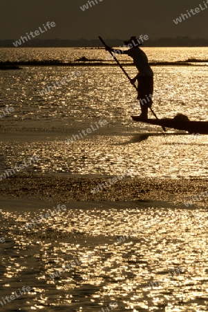 Fishermen at sunset in the Landscape on the Inle Lake in the Shan State in the east of Myanmar in Southeastasia.