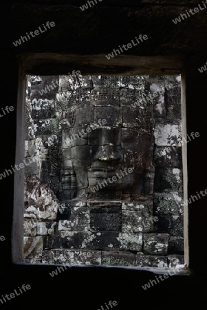 Stone Faces the Tempel Ruin of Angkor Thom in the Temple City of Angkor near the City of Siem Riep in the west of Cambodia.