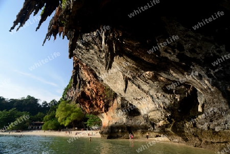 The Hat Phra Nang Beach at Railay near Ao Nang outside of the City of Krabi on the Andaman Sea in the south of Thailand. 