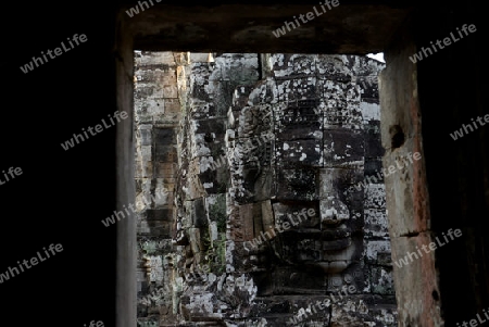 Stone Faces the Tempel Ruin of Angkor Thom in the Temple City of Angkor near the City of Siem Riep in the west of Cambodia.