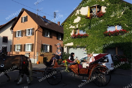  the old town of the villige  Sasbach in Kaiserstuhl in the Blackforest in the south of Germany in Europe.