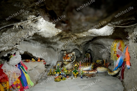 The Temple Wat Tham Seau outside the City centre of Krabi on the Andaman Sea in the south of Thailand. 