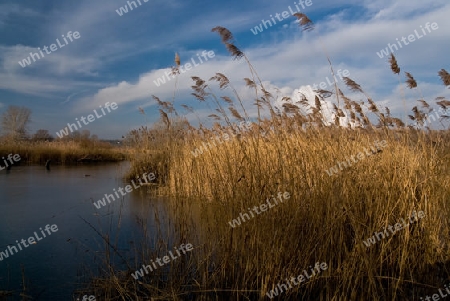 Winter am See