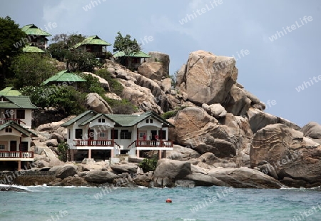 Der Strand  von Tanote Bay Beach auf der Insel Ko Tao im Golf von Thailand im Suedwesten von Thailand in Suedostasien. 