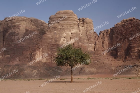 The Landscape of the Wadi Rum Desert in Jordan in the middle east.