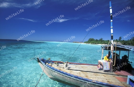 
Der Traumstrand mit Palmen und weissem Sand an der Insel Velavaru im Southmale Atoll auf den Inseln der Malediven im Indischen Ozean.   