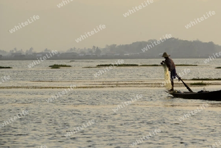 Fishermen at sunset in the Landscape on the Inle Lake in the Shan State in the east of Myanmar in Southeastasia.