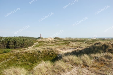 Amrum