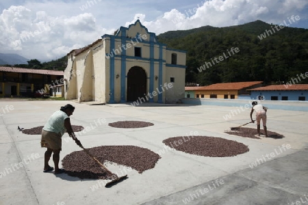 Suedamerika, Karibik, Venezuela, Nord, Chuao, National Park Hanri Pittier, Dorf, Cacao Dorf, Kakao Dorf, Kolonial, Dorfplatz, Kakao, Kakao Bohnen beim Sonnen trockenen, Frau, Arbeit, Alltag, Kirche, 