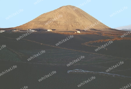 Lanzarote