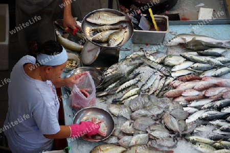 Asien, Suedost, Singapur, Insel, Staat, Stadt, City, Little India, Marktstrasse, Markt,  Gasse, Alltag, Wirtschaft, Zentrum, Altstadt,  Markt, Fischmarkt, Fisch, Markthalle, Handel,   