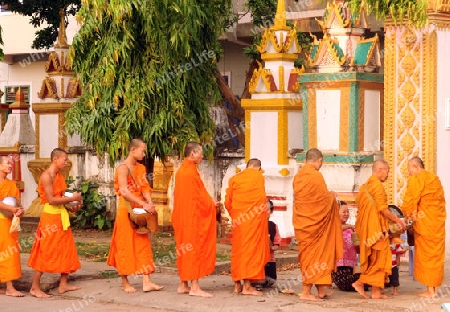 Moenche auf ihrem Rundgang am fruehem Morgen vor dem Tempel Wat Sainyaphum in der Stadt Savannahet in zentral Laos an der Grenze zu Thailand in Suedostasien.