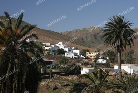 the Village Toto on the Island Fuerteventura on the Canary island of Spain in the Atlantic Ocean.