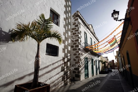 the old Town of Aguimes in the Aguimes valley on the Canary Island of Spain in the Atlantic ocean.