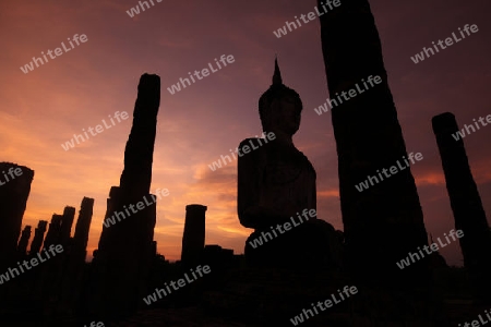 Eine Buddha Figur  im Wat Mahathat Tempel in der Tempelanlage von Alt-Sukhothai in der Provinz Sukhothai im Norden von Thailand in Suedostasien.