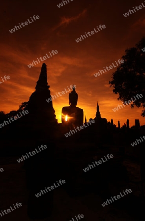 Eine Buddha Figur  im Wat Mahathat Tempel in der Tempelanlage von Alt-Sukhothai in der Provinz Sukhothai im Norden von Thailand in Suedostasien.