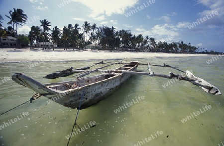 Der Traumstrand  von Michamvi am Chwaka Bay an der Ost-Kueste auf der Insel Zanzibar welche zu Tansania gehoert.         