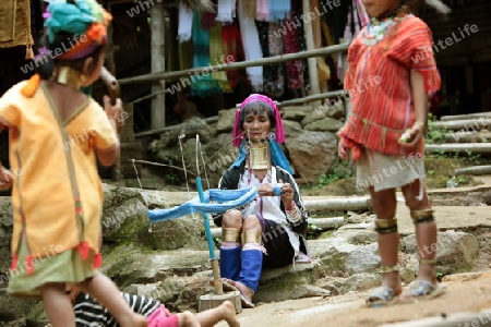 Eine Traditionell gekleidete Langhals Frau eines Paudang Stammes aus Burma lebt in einem Dorf noerdlich von Chiang Mai in Nord Thailand.