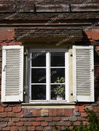 Altes Fenster mit Klappl?den