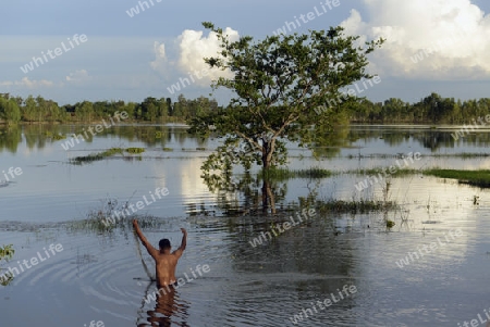 Ein Fischer in einer Lagune bei Khong Chiam in der Umgebung von Ubon Ratchathani im nordosten von Thailand in Suedostasien.