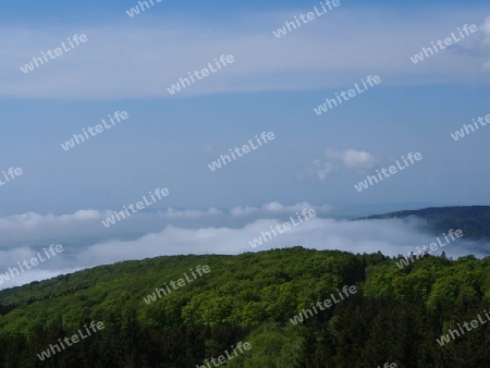 Wolken im Tal 2