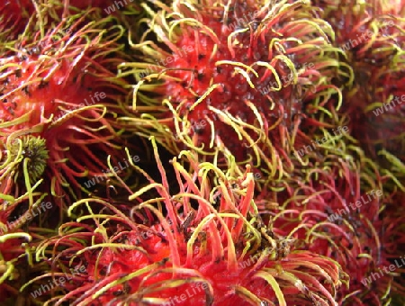 Rambutan