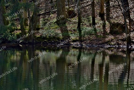 Spiegelung in Wasser