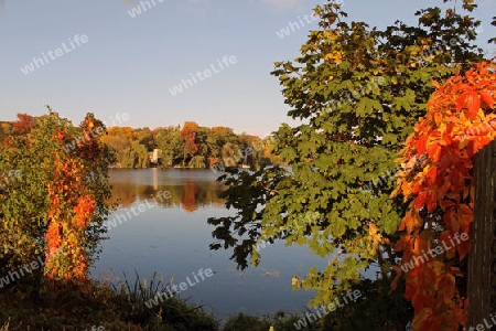 Bunter Herbst