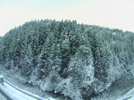 Winterwald