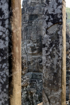 Stone Faces the Tempel Ruin of Angkor Thom in the Temple City of Angkor near the City of Siem Riep in the west of Cambodia.