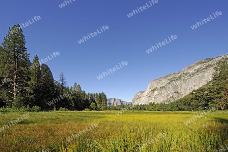 typische Landschaftsform im Yosemite Nationalpark, Kalifornien, USA