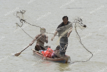 Ein Fischer auf dem Moon River in der Umgebung von Ubon Ratchathani im nordosten von Thailand in Suedostasien.