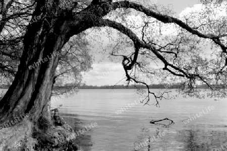 Am Tegeler See