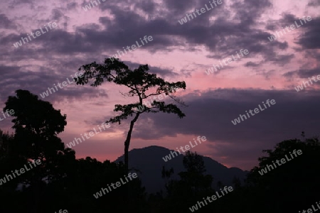 Die Landschaft bei Loihuno in Zental Ost Timor auf der in zwei getrennten Insel Timor in Asien. 