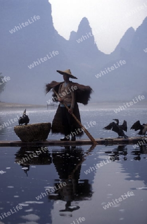 the landscape at the Li River near Yangshou near the city of  Guilin in the Province of Guangxi in china in east asia. 