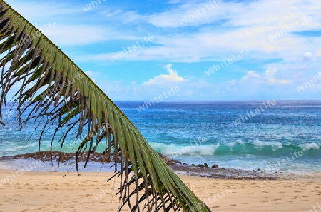 Sunny day beach view on the paradise islands Seychelles.