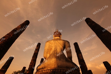 Eine Buddha Figur  im Wat Mahathat Tempel in der Tempelanlage von Alt-Sukhothai in der Provinz Sukhothai im Norden von Thailand in Suedostasien.