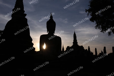 Eine Buddha Figur  im Wat Mahathat Tempel in der Tempelanlage von Alt-Sukhothai in der Provinz Sukhothai im Norden von Thailand in Suedostasien.