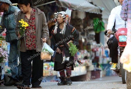 Der Markt im Bergdorf Mae Salong in der Huegellandschaft noerdlich von Chiang Rai in der Provinz Chiang Rai im Norden von Thailand in Suedostasien.