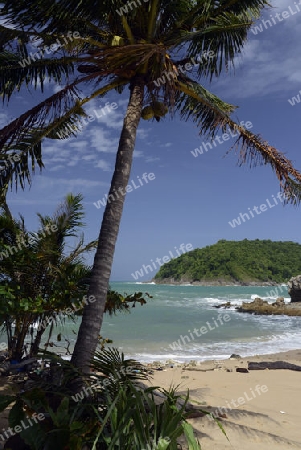 Ein Strand in Hat Nai Harn im sueden der Insel Phuket im sueden von Thailand in Suedostasien.