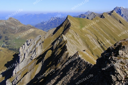 Auf dem Bunderspitz bei Kandersteg