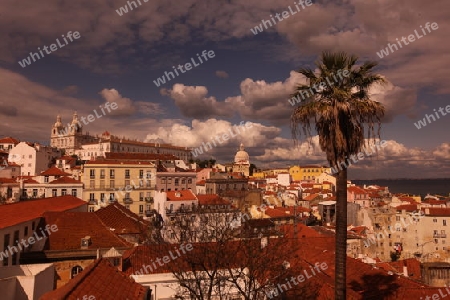 Die Uebersicht ueber die Altstadt von Alfama in der Innenstadt der Hauptstadt Lissabon in Portugal.       