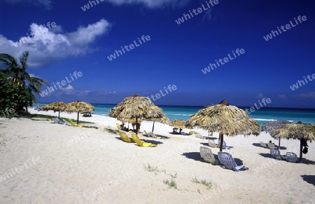 a beach on the coast of Varadero on Cuba in the caribbean sea.