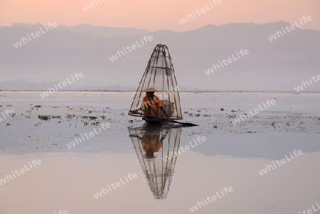 Fishermen at sunrise in the Landscape on the Inle Lake in the Shan State in the east of Myanmar in Southeastasia.