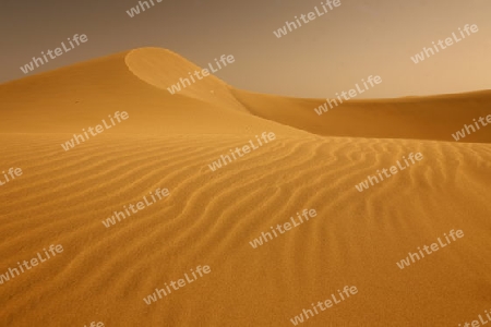 the Sanddunes at the Playa des Ingles in town of Maspalomas on the Canary Island of Spain in the Atlantic ocean.