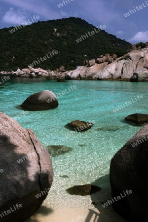 Die Strand und Insellandschaft auf der Insel Koh Naang Yuan neben der Insel Ko Tao im Golf von Thailand im Suedwesten von Thailand in Suedostasien.  