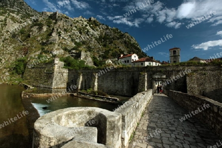 Die Stadtmauer der Altstadt der Stadt Kotor in der Kotorbucht an der Mittelmeer Kueste in Montenegro im Balkan in Osteuropa. 